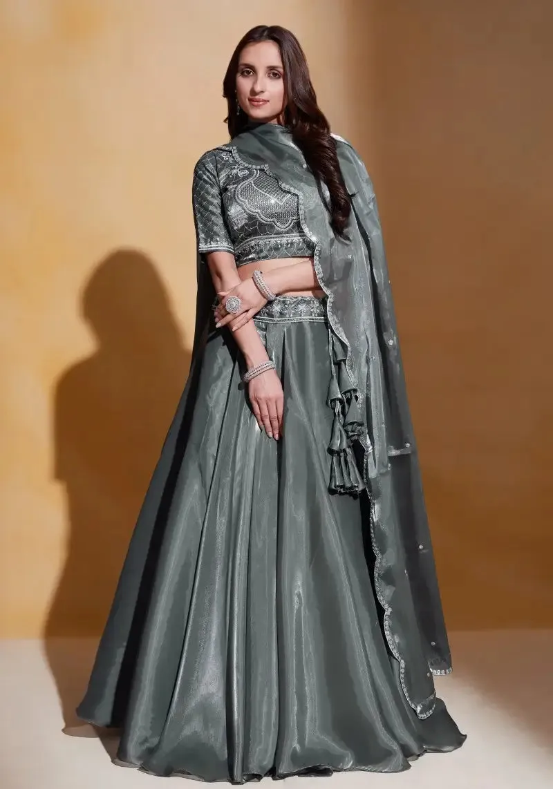 Elegant Grey Organza Silk Embroidered Lehenga Choli