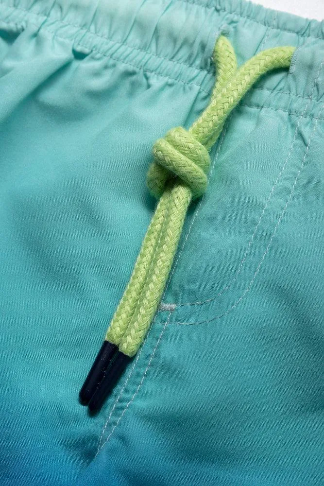 Ombre Swim Shorts Blue